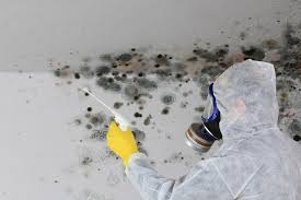 Best Biohazard Mold Removal  in Lake Of The Woods, IL